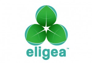 ‘Eligea Logo’ , Client: Eligea LLC